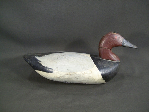 Maryland Canvasback  - Sam Barnes ?