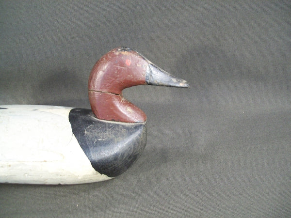 Maryland Canvasback  - Sam Barnes ?