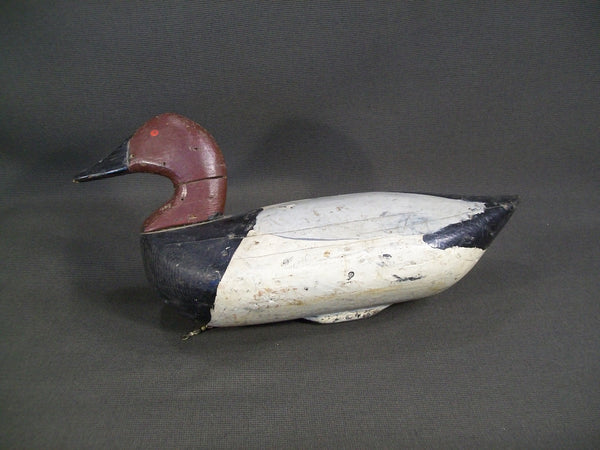 Maryland Canvasback  - Sam Barnes ?