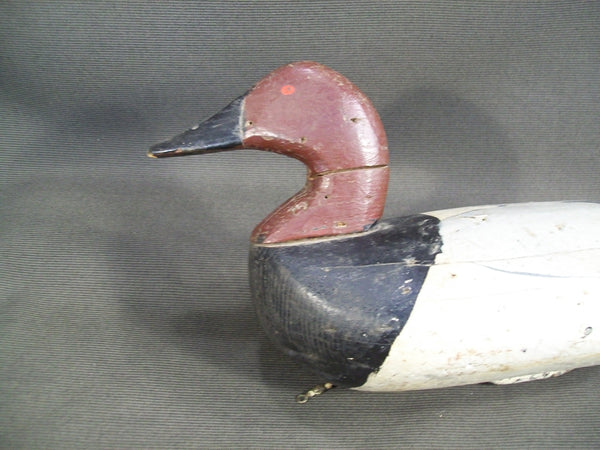 Maryland Canvasback  - Sam Barnes ?