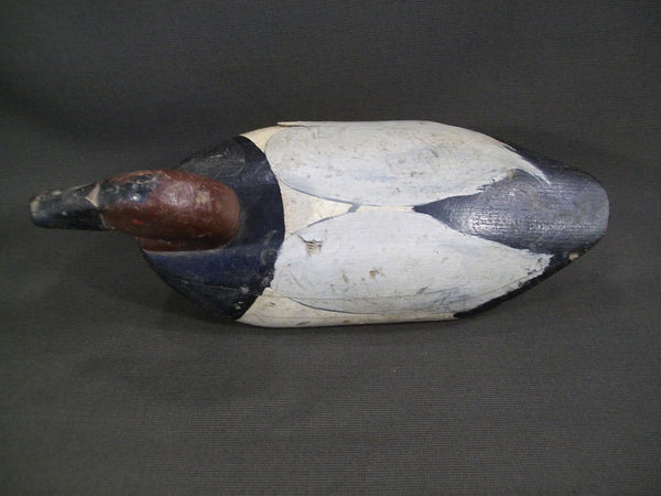 Maryland Canvasback  - Sam Barnes ?