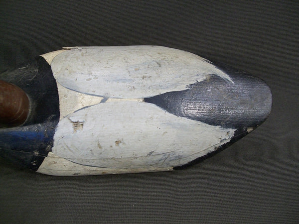 Maryland Canvasback  - Sam Barnes ?