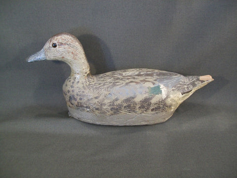 Jack Ratuianen Pintail Hen- Eureka California