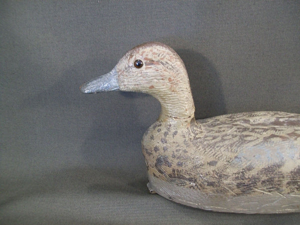 Jack Ratuianen Pintail Hen- Eureka California