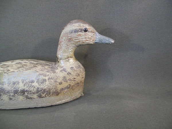 Jack Ratuianen Pintail Hen- Eureka California