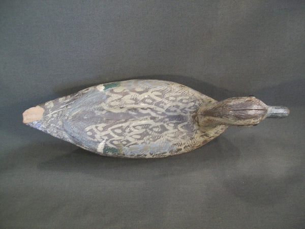 Jack Ratuianen Pintail Hen- Eureka California