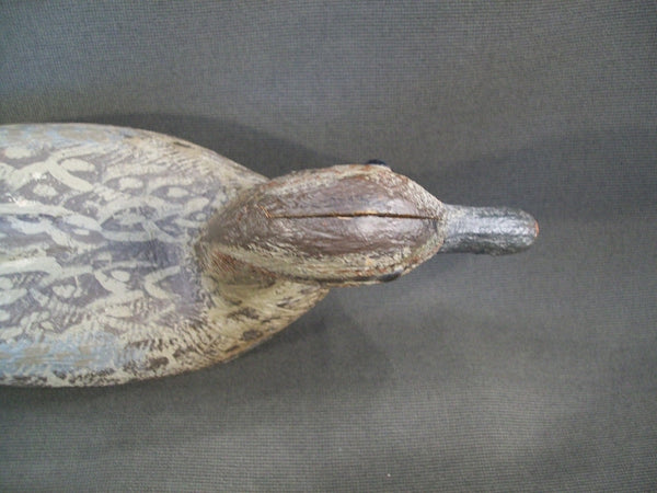 Jack Ratuianen Pintail Hen- Eureka California