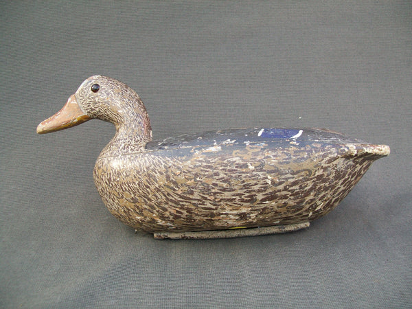 Tube Dawson Mallard Hen- Busto Paint, MAXSON brand (#1966)