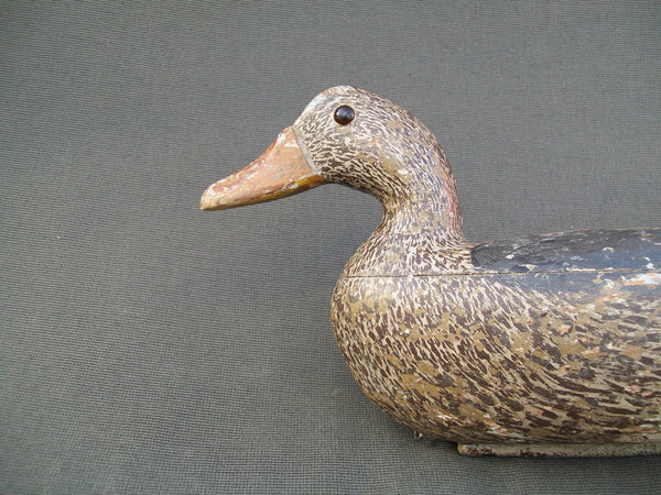 Tube Dawson Mallard Hen- Busto Paint, MAXSON brand (#1966)