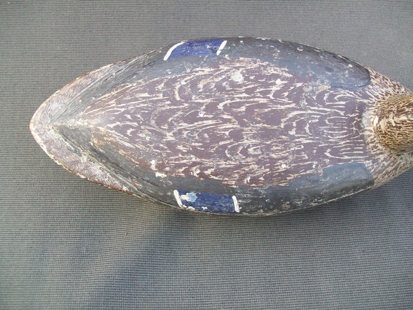 Tube Dawson Mallard Hen- Busto Paint, MAXSON brand (#1966)