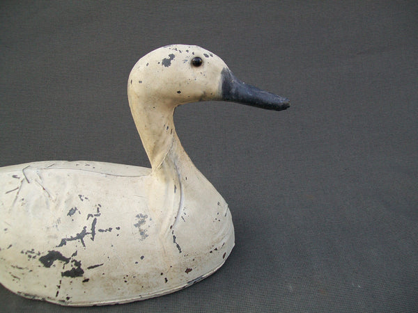 Rare Anderson Metal Pintail Duck Decoy - San Francisco, Circa 1920's