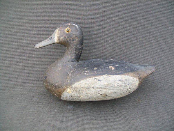 Otto Garren Blue Bill Hen