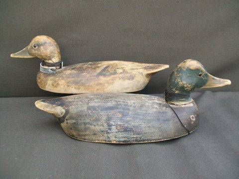 Canada Mallards William Clark