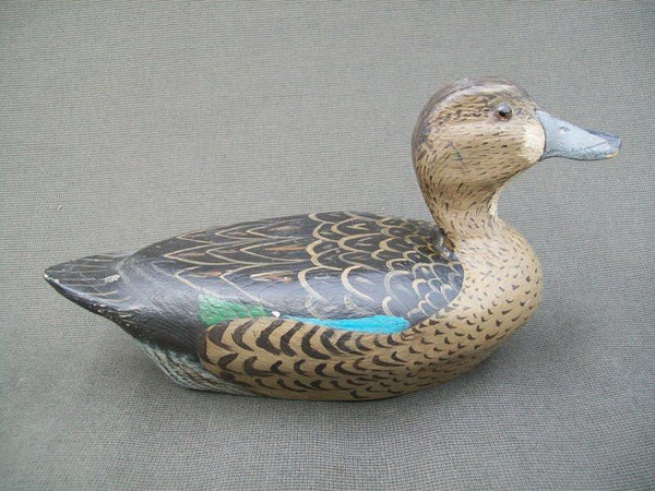 Illinois River Blue Wing Teal Hen