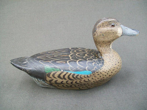 Illinois River Blue Wing Teal Hen