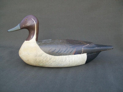 Illinois River Pintail