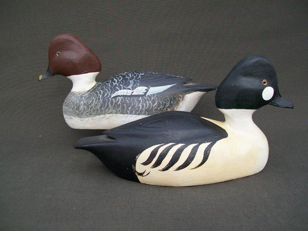 James Campbell Golden Eyes Pair, Saginaw Michigan