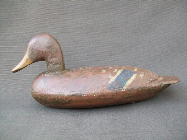 Nicholas Englhart Mallard Hen Manito Illinois Circa 1930