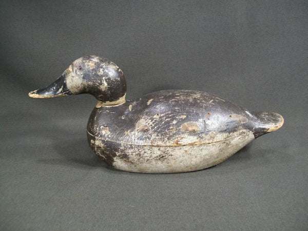 Premiere Mason Canvasback Hen O.P.