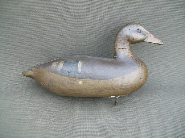 Charles Althoff Mallard Hen
