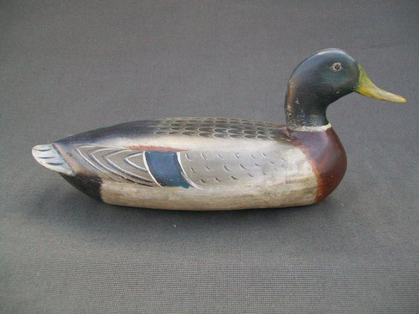 Illinois River Mallard Drake