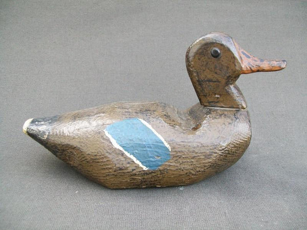 Mississippi River Mallard hen with tackeyes