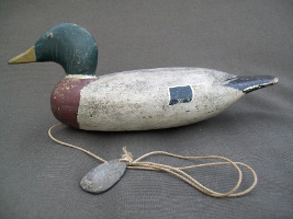 Gisler Weber Mallard Drake