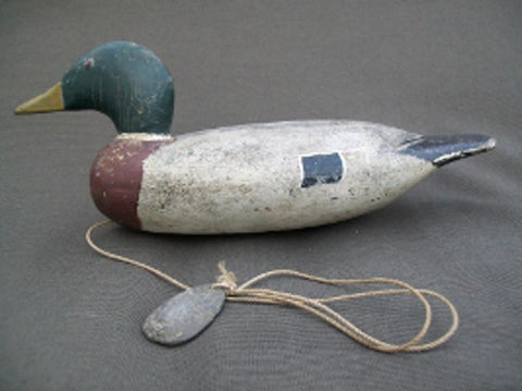 Gisler Weber Mallard Drake