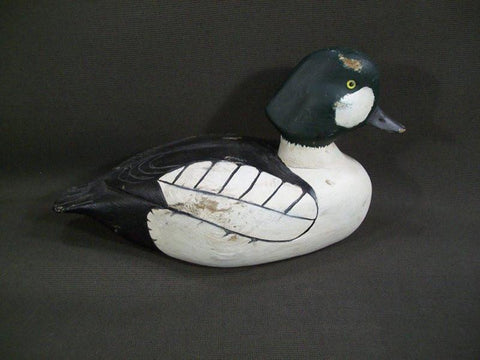 Lehman Golden Eye Drake