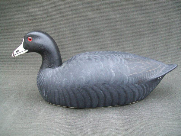 Hector Heck Whittington Coot 1976 Stamped and Signed like new Condition