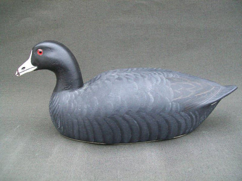 Hector Heck Whittington Coot 1976 Stamped and Signed like new Condition