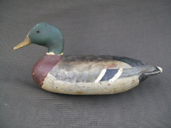 IIllinois River Mallard Lacon area