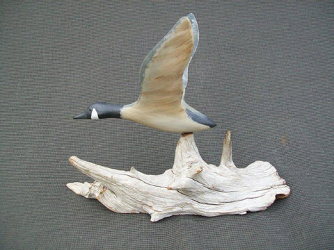 Miniature flying Canada Goose on driftwood stand