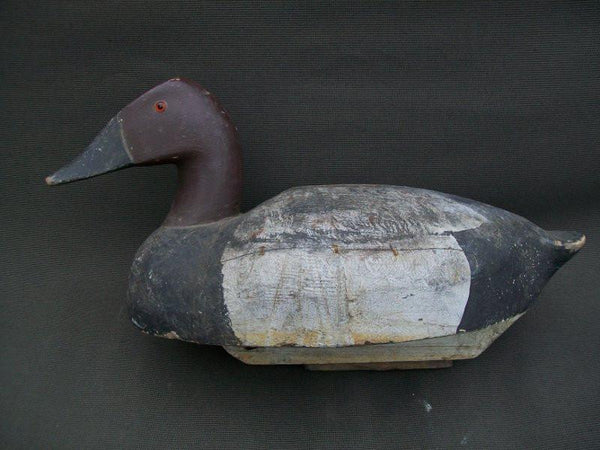 Michigan Canvasback slightly turned head with keel and lead weight