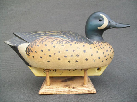 Marty Hanson working Blue Wing Teal