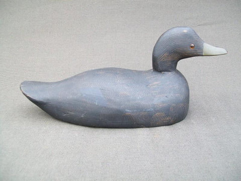 Near Mint Padco Blackduck Original Paint Never Rigged