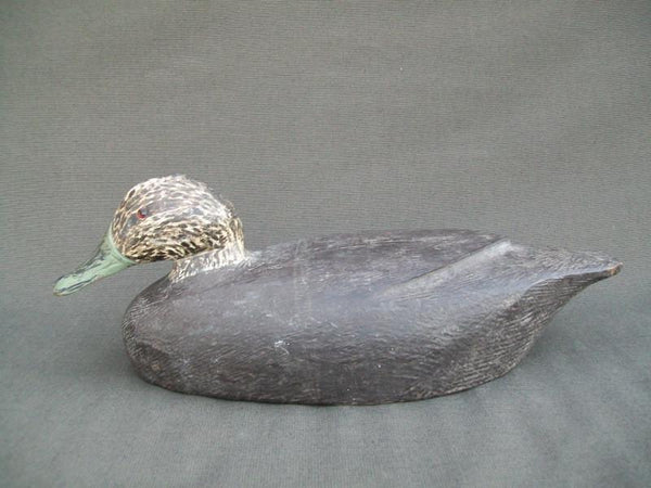 Canada Black Unknown Carver Raised Wings Solid