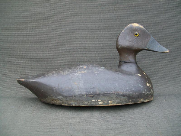 Canadian Golden Eye Hen Original Paint