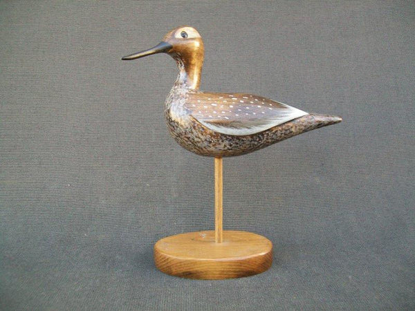 Yellow Legs Shorebird by Paul Lambrecht