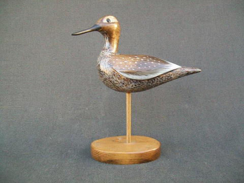 Yellow Legs Shorebird by Paul Lambrecht