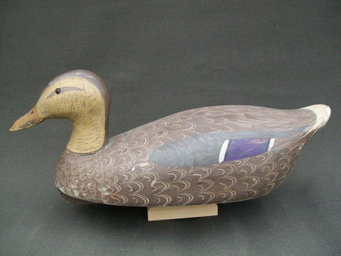 Ken Harris working Mallard Hen