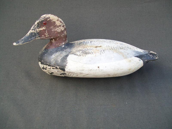 Sibley Drake Canvasback, Original Paint