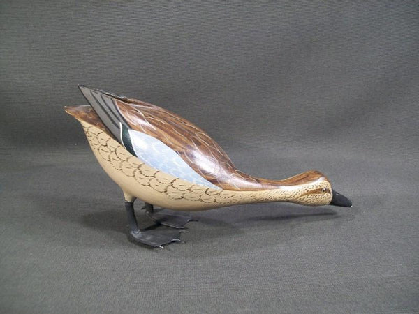 Standing Feeding Blue Wing Teal by Charlie Moore and Virgil Hodge