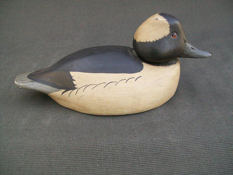 Unknown Bufflehead