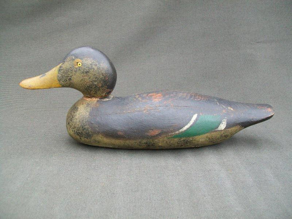 Mason Mallard Hen Detroit Grade O.P.