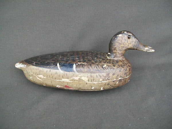 Unknown Mallard Hen Millie Graves Paint