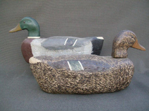 Illinois River Mallard Pair