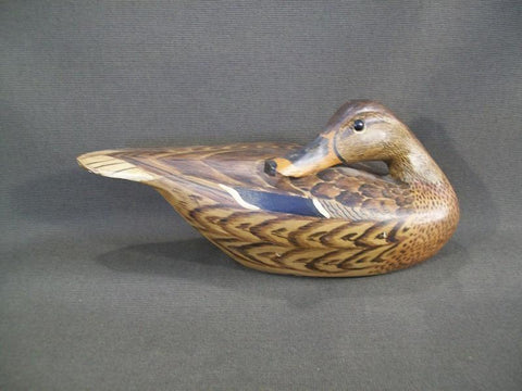 Grayson Chesser Sleeper Mallard Hen