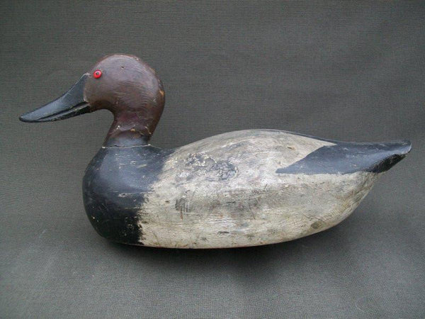 Vintage Wisconsin Canvasback Drake with Weights