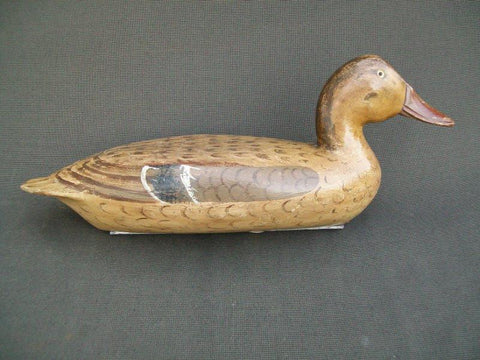 Robert Elliston Mallard Hen with weight